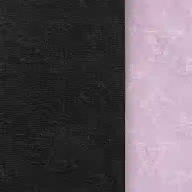 LOUIS VUITTON Monogram