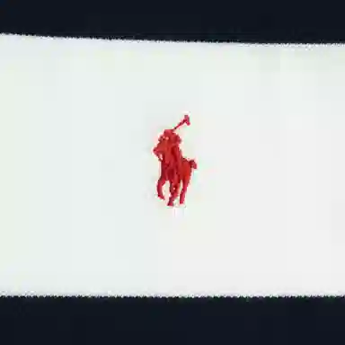 Polo Ralph Lauren logoPolo