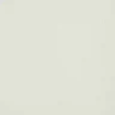 KARL LAGERFELD SS25 Polo