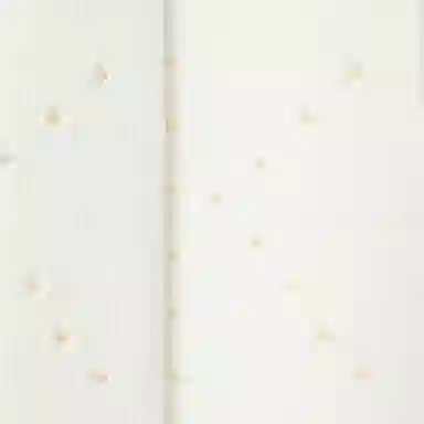 KARL LAGERFELD SS25 A