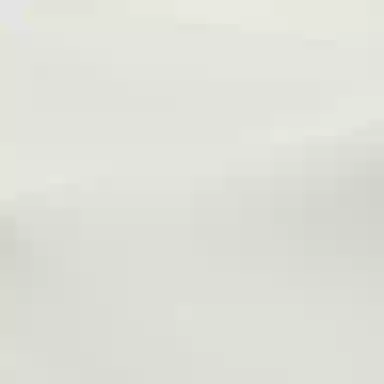 KARL LAGERFELD FW25 T