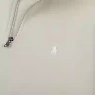 Polo Ralph Lauren FW25 Logo