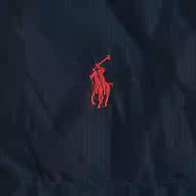 Polo Ralph Lauren FW25 Logo