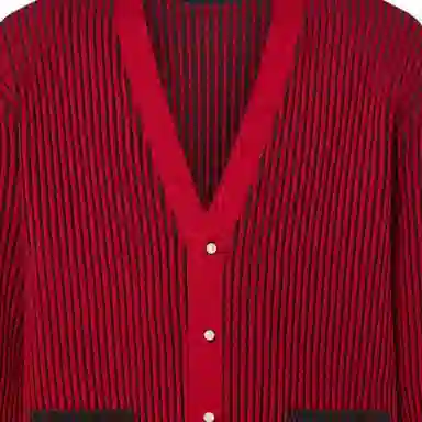 LOUIS VUITTON Park Seo Bo V