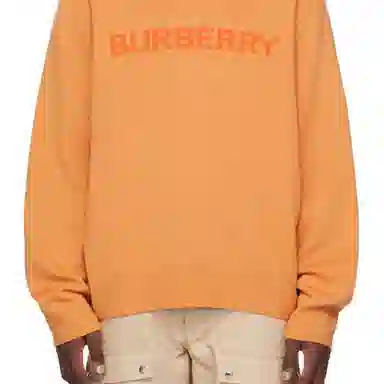 Burberry FW22 Logo