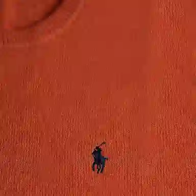 Polo Ralph Lauren FW24 Logo