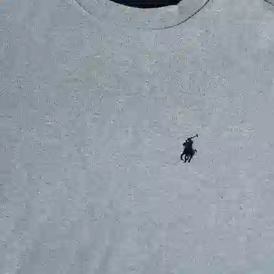 Polo Ralph Lauren Logo