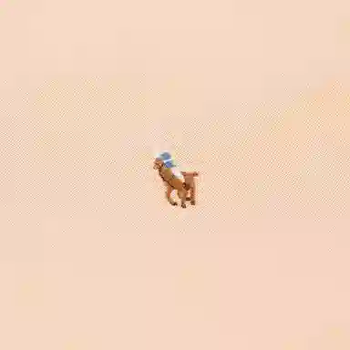 Polo Ralph Lauren FW23