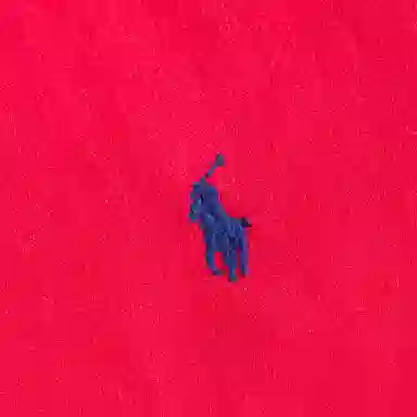 Polo Ralph Lauren SS24 Logo