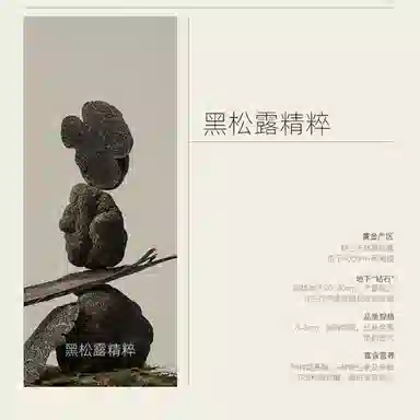 阿芙 黑白松露纯净护肤面膜 保湿滋润