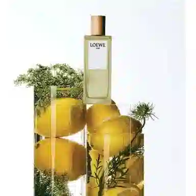LOEWE EDT
