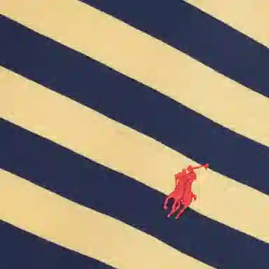 Polo Ralph Lauren SS22 T