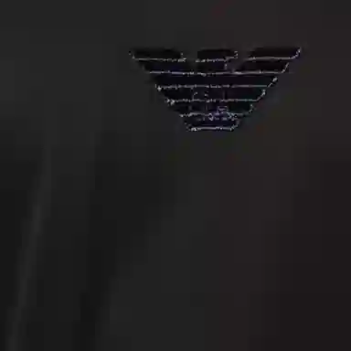 EMPORIO ARMANI LogoT