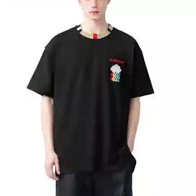 Burberry logoT