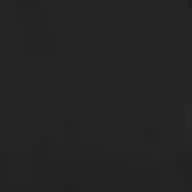 Polo Ralph Lauren LogoT