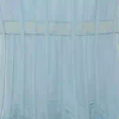 Alexander McQueen FW21