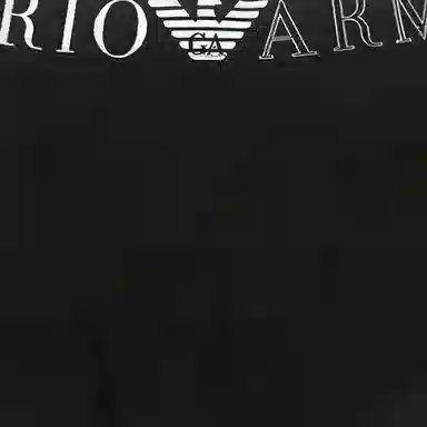EMPORIO ARMANI Logo 1