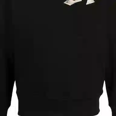 Alexander McQueen Hoodie Black