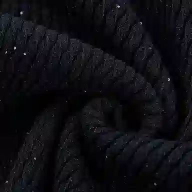 KARL LAGERFELD FW25 T