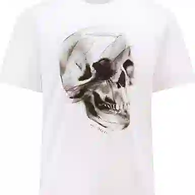 Alexander McQueen Skull Print T-Shirt