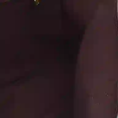 LOUIS VUITTON NEVERFULL MM D