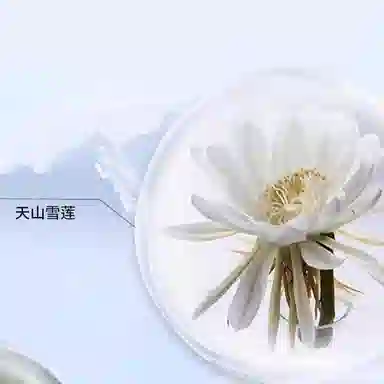 韩后 雪玲珑水乳精华霜护肤套装 保湿补水 五件套