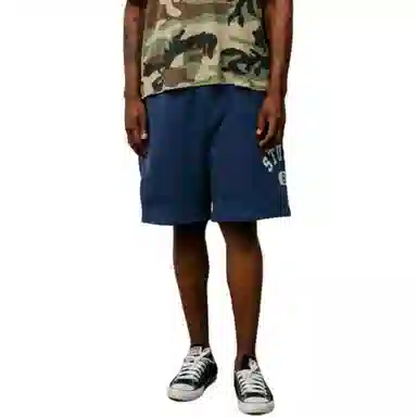 Stussy SS25 VARSITY FLEECE SHORT logo