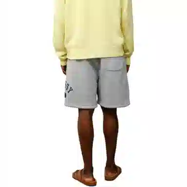 Stussy SS25 VARSITY FLEECE SHORT logo