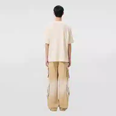 Feng Chen Wang logoT