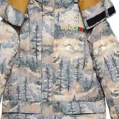 GUCCI x THE NORTH FACE