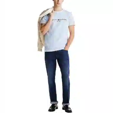 Tommy Hilfiger T