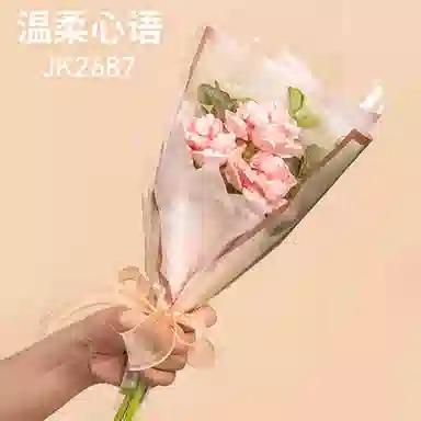 JAKI 234pcs JK2687