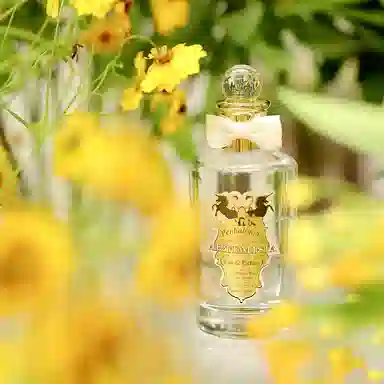 ARTEMISIA EDP 30ml100ml