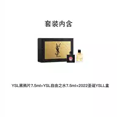 YSL 2022