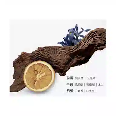 L'OREAL PARIS MEN EXPERT