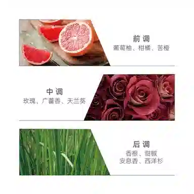 Hermes Terre d'Hermes Deodorant Stick