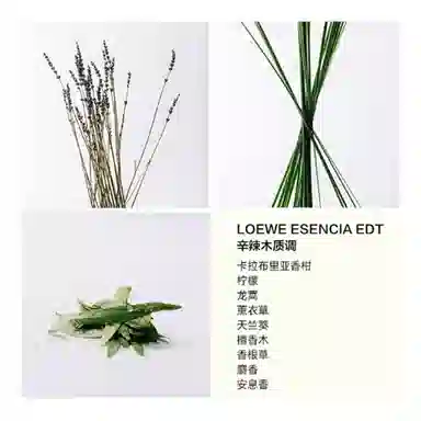 LOEWE EDT 50ml75ml100ml