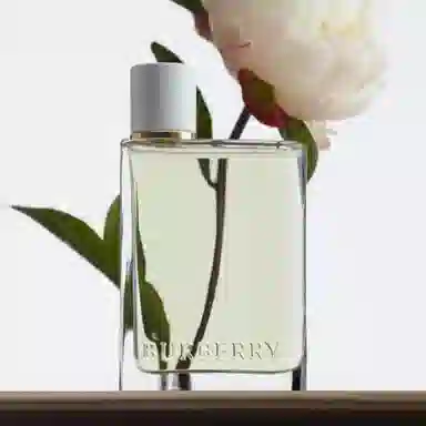 Burberry EDT 10ml30ml50ml