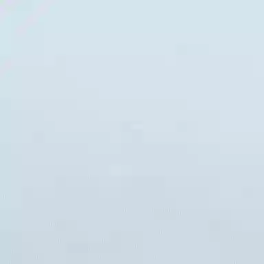 KARL LAGERFELD SS25 T