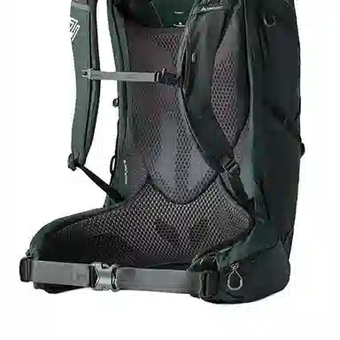 GREGORY60L Paragon Logo