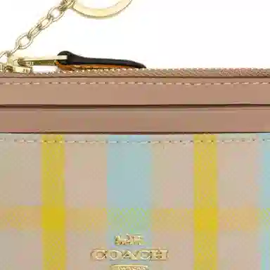 COACH Skinny Id Case 11