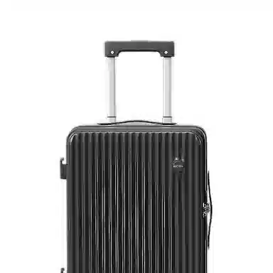 SEA LION ABS+PC 20242622