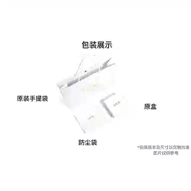 DIOR Diorstar Oblique