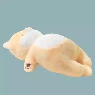 46cm