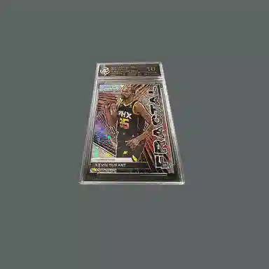 PANINI KD RPA