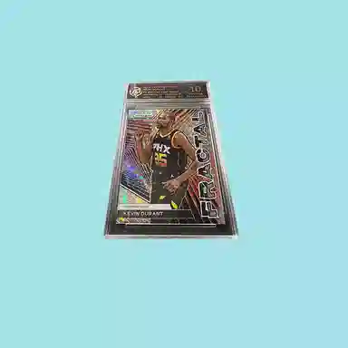 PANINI KD RPA