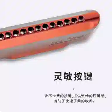 HOHNER CX-12 JAZZ() C 12