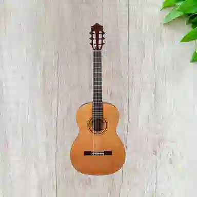 (Kapok) C60TH(60) 39