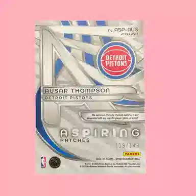 PANINI RC 119149 Patch