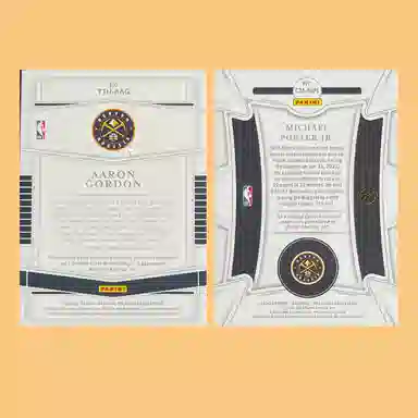 PANINI 2020-21 0725+2023 2225